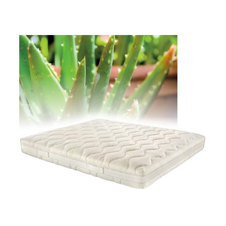 Aloe Life